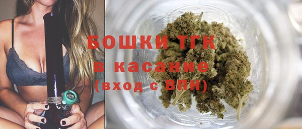 тгк Касимов