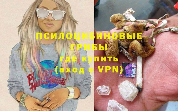 тгк Касимов