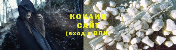 тгк Касимов