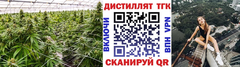 Дистиллят ТГК вейп  Купить где  Елизово 