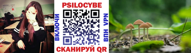 Купить где  Елизово  Галлюциногенные грибы мицелий 